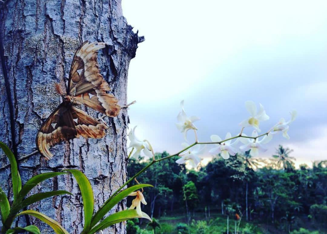 テテバトゥSky Garden Lombokアパートメント エクステリア 写真